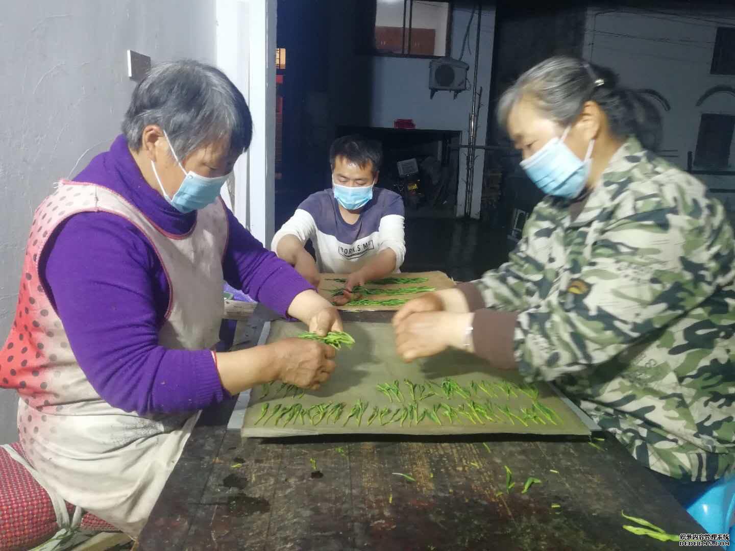 安徽:“五一”期间制茶忙