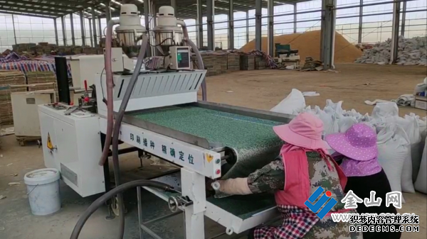 QQ截图20200501110738