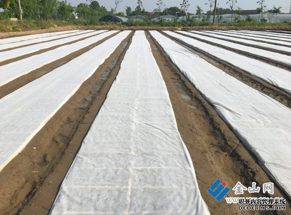 QQ截图20200501110818