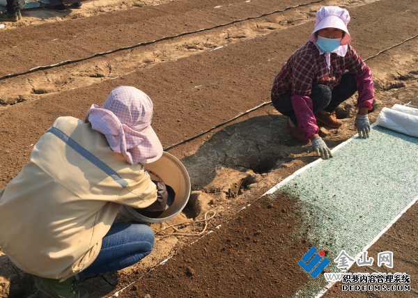 QQ截图20200501110954