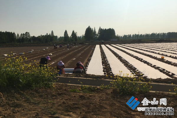 QQ截图20200501111027