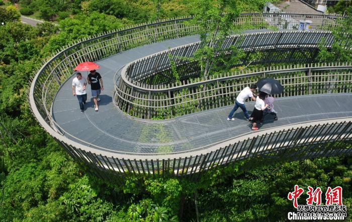 ����һ������ ��������ɭ���Ͽ���������ͼ��