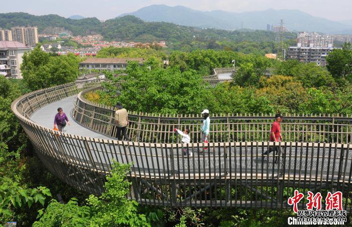 ����һ������ ��������ɭ���Ͽ���������ͼ��