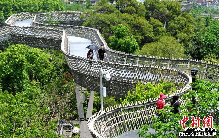 ����һ������ ��������ɭ���Ͽ���������ͼ��