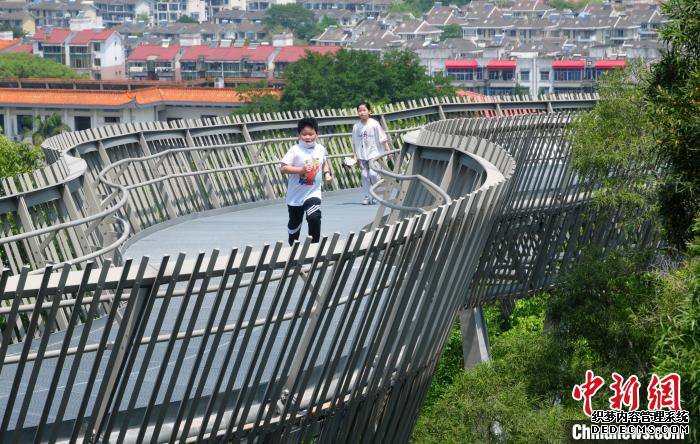 ����һ������ ��������ɭ���Ͽ���������ͼ��