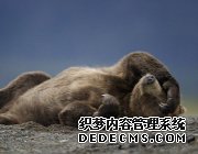 ȫг򡪡ͼ¼(55)