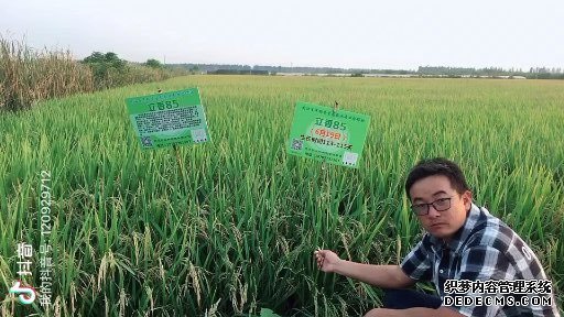ӡ족人ִҵս