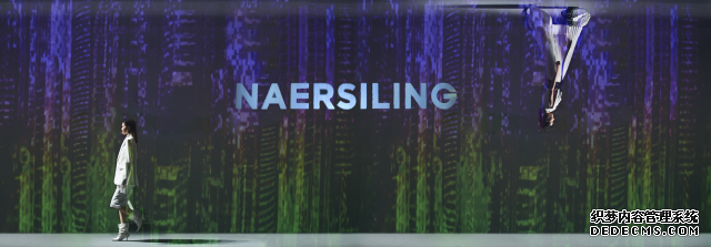 NAERSILINGೡ㣬йʱװ