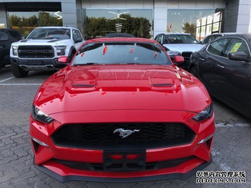 2019ҰMustangۿֳ