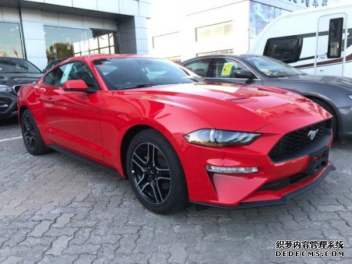 2019ҰMustangۿֳ