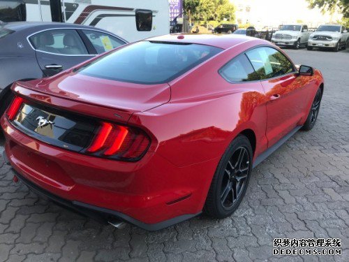2019ҰMustangۿֳ