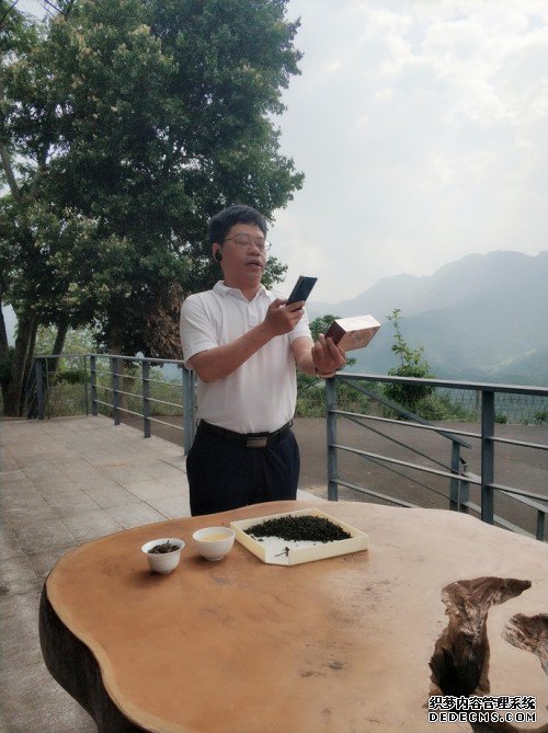 中国农业直播大联盟助农百县行:福建安溪县长在一亩田卖力带春茶