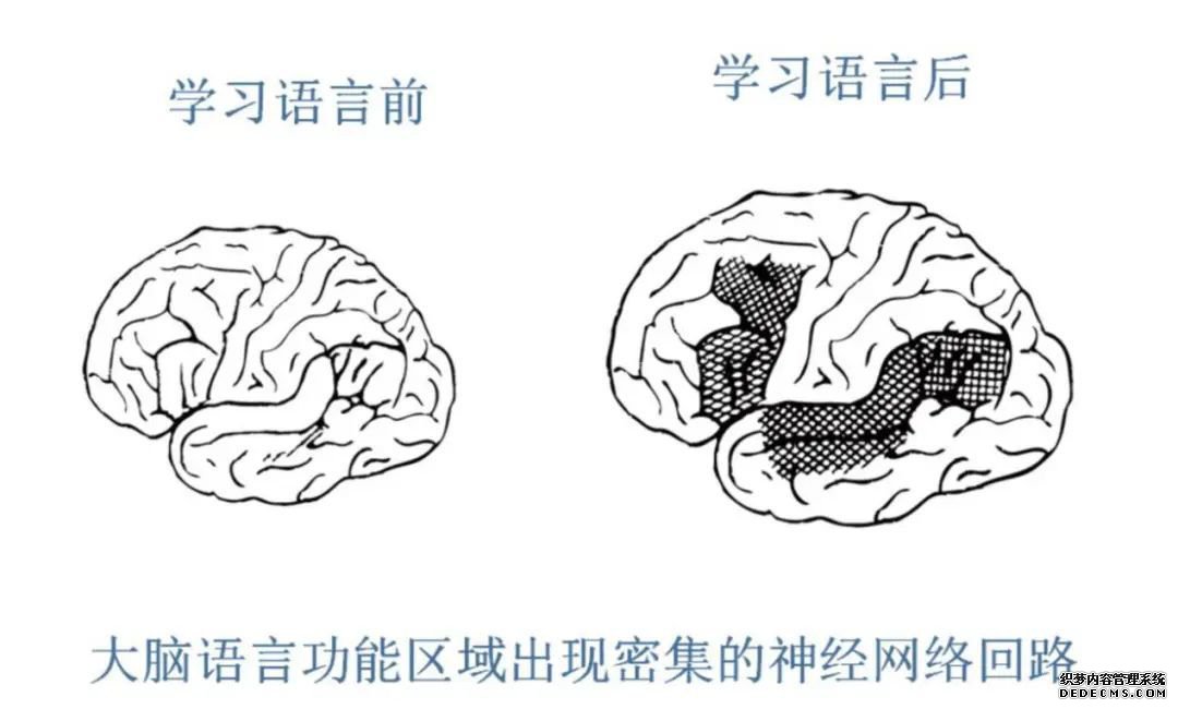英语教育的破局之道,iEnglish:助力教培机构和赋能学生,一个也不能少