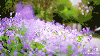 ֻУɽЩءʳزס
