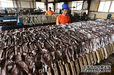 买新车不到7万 换电池要5万? 新能源车电池“退役潮”来啦