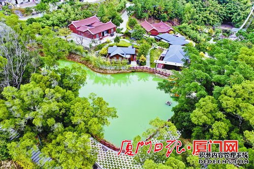 厦门地区唯一入选的乡镇!汀溪入选福建省乡村振兴重点特色乡镇