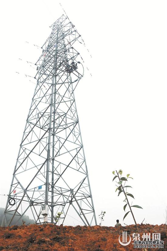 德化雷峰镇:电力线路下种油茶 护电防火又扶贫