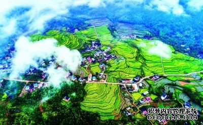 ϪСɽۡ 조ƶ衱
