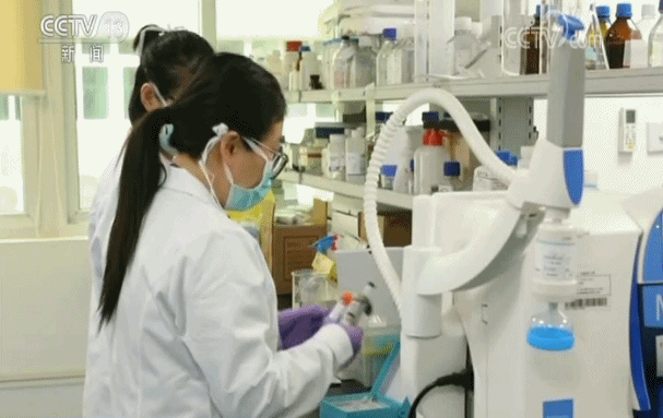 ᶨ ʿƼ߷塪ϰƽǸȫƼߵĻҷ