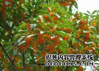 ��ƽ�ز�����