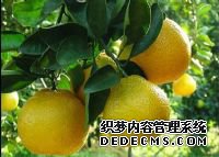 ��ƽ�ز�����