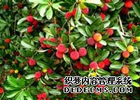 ��ƽ�ز�����