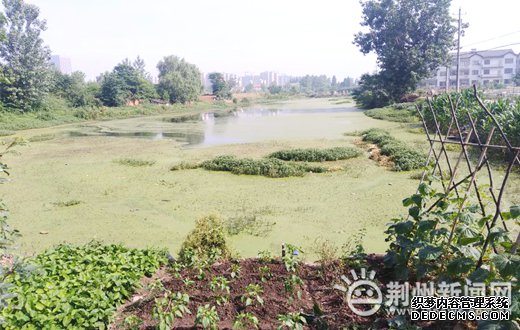 ��ǿ���������������� ���ݿ�չ��վ�ܱ߻�������