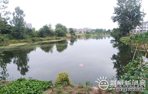 ��ǿ���������������� ���ݿ�չ��վ�ܱ߻�������