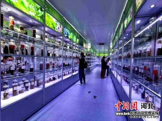 ʯ��ׯ����ҩҵ����ҩ�걾�ݡ� 