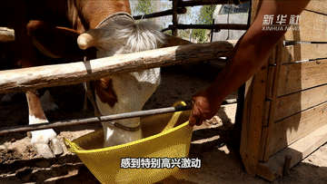 00.gif
