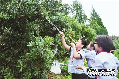 �������Сѧ��������ũ�� �����Ͷ������·�ʽ