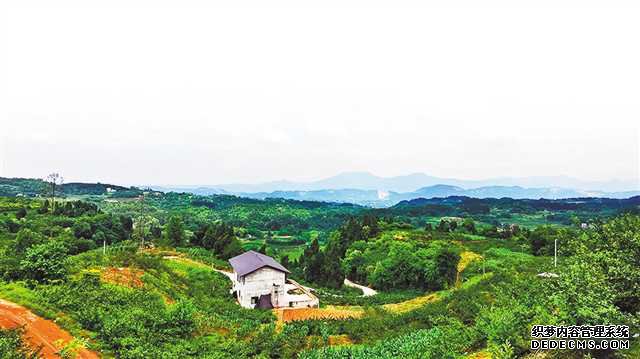 �ܺ裺һ�����ֻ�����ͷ����ũ��