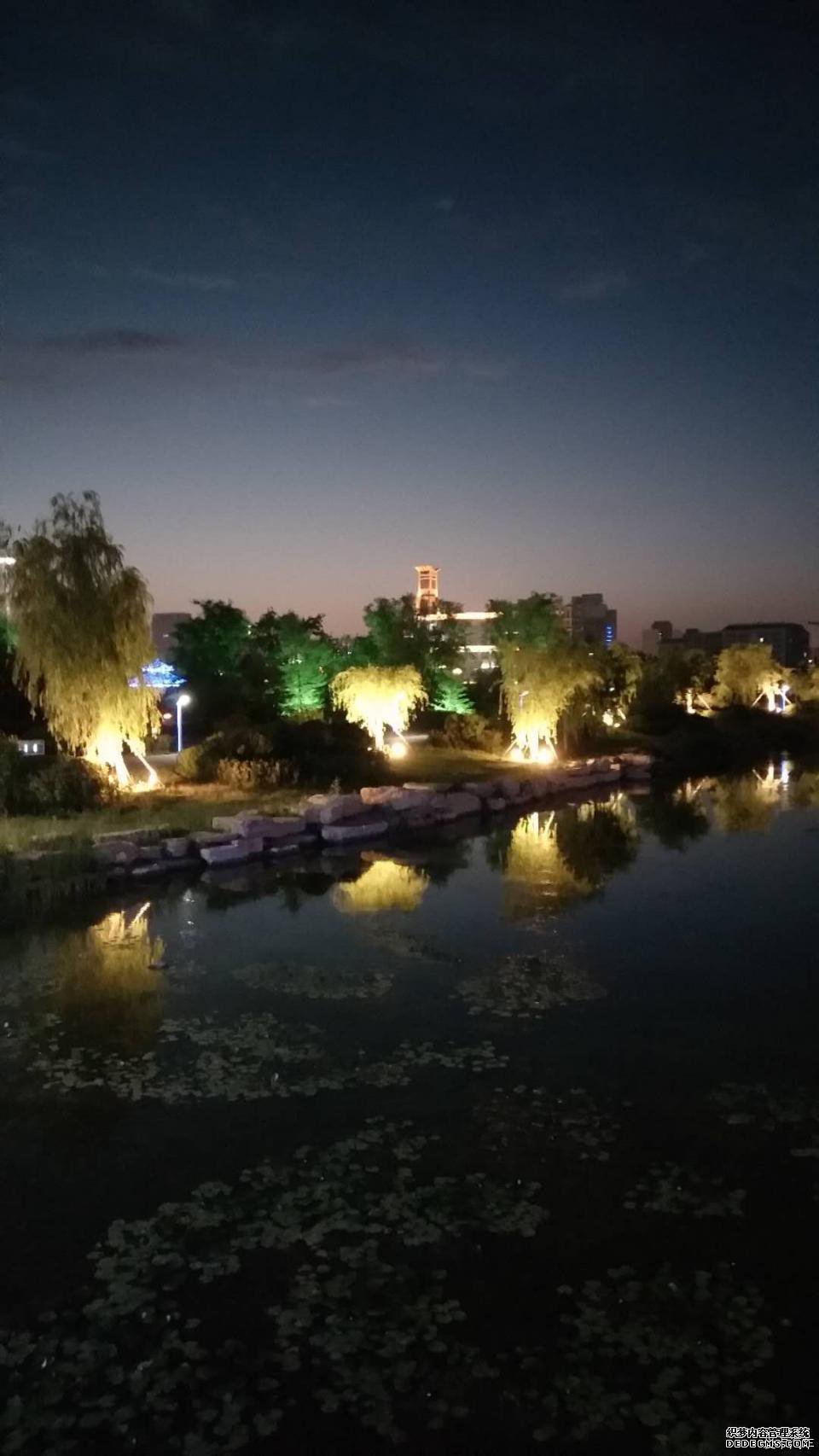 爱在爱卡,浅“探”养护