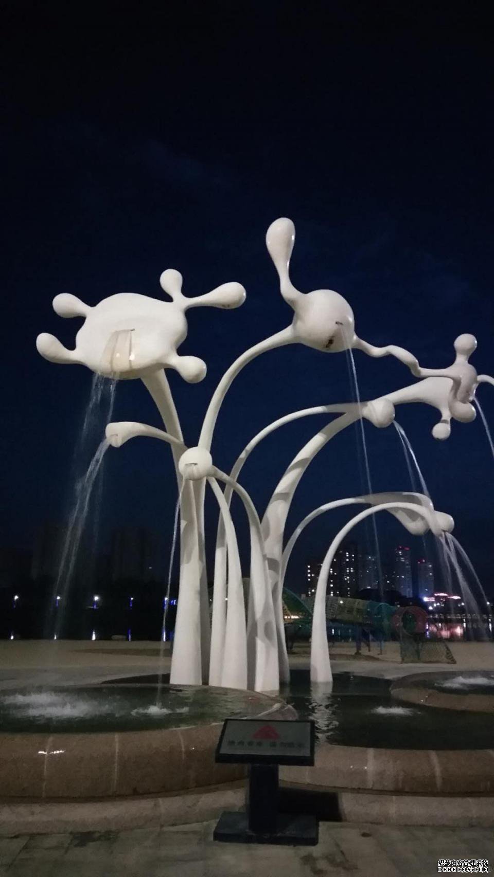 爱在爱卡,浅“探”养护