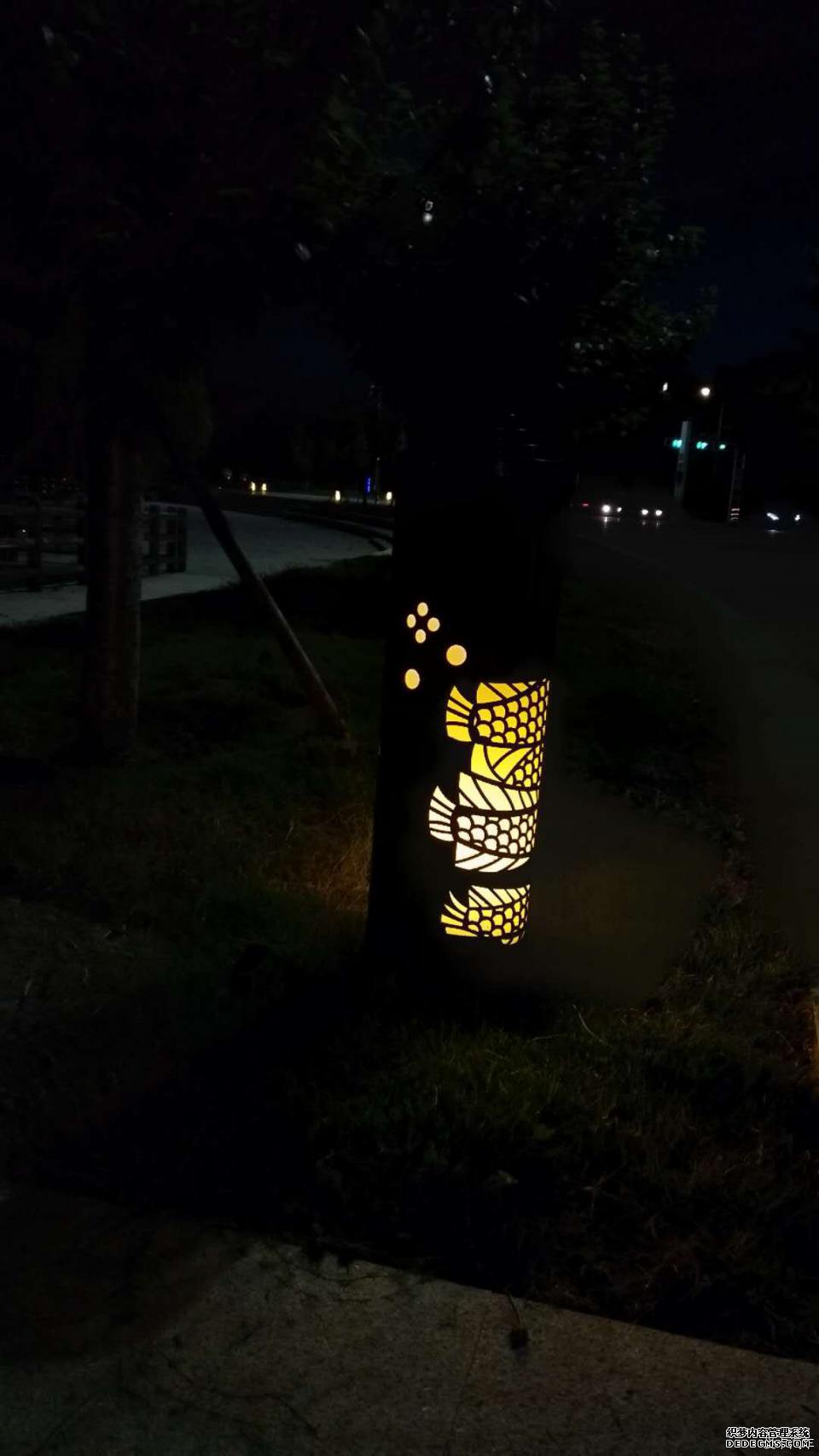 爱在爱卡,浅“探”养护