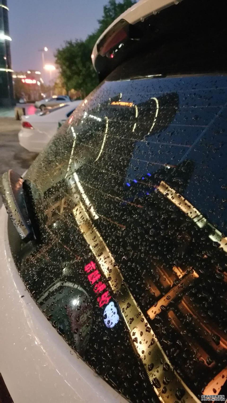 爱在爱卡,浅“探”养护