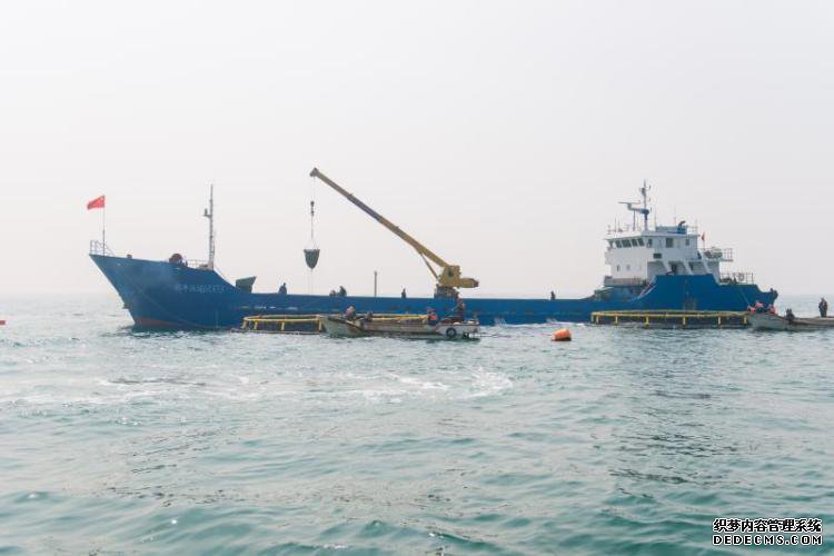 休渔期不休“鱼” 一条福建大黄鱼的千里青漂路