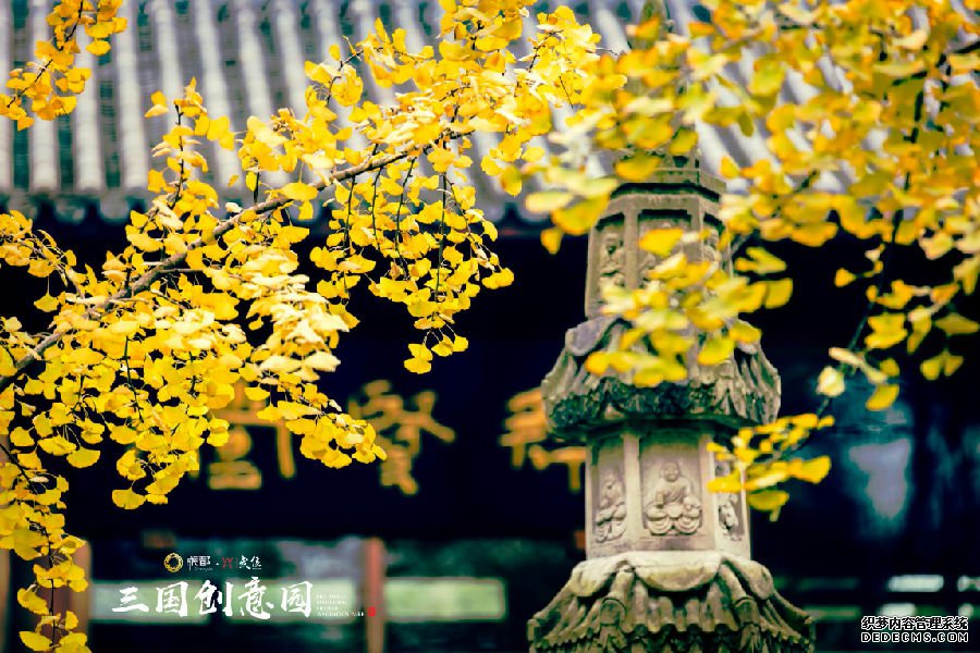 �ɶ����������������԰��ʶLOGOȫ����������