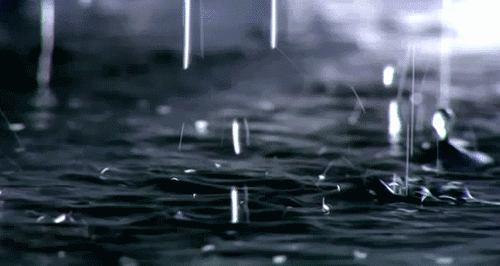 6.gif