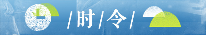 ɹʳtips