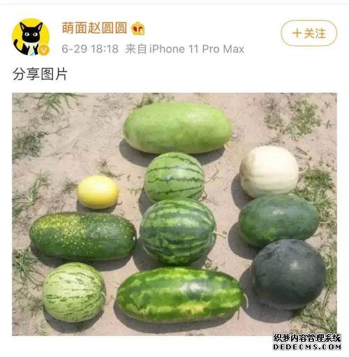 㿴ִ֡Բ