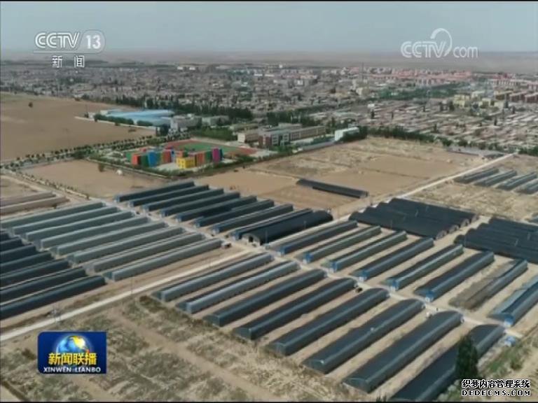 【决战决胜脱贫攻坚】闽宁对口扶贫 探索东西协作新路子