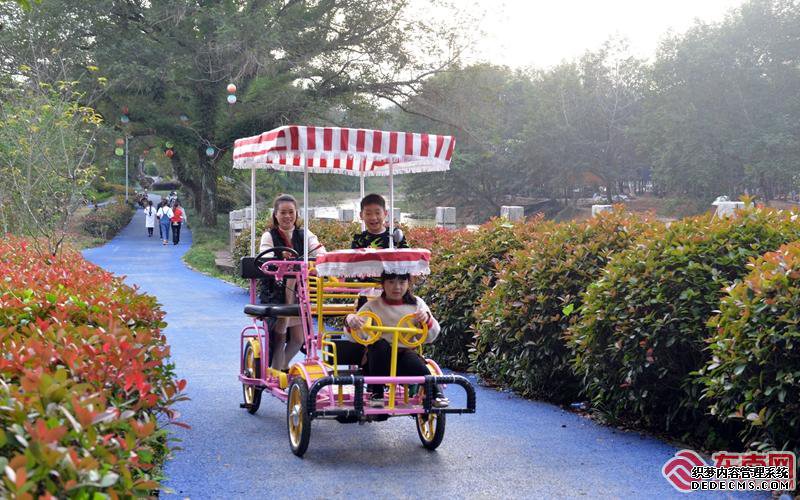 福建建瓯:“湖畔山居”投入试运营 小松林下旅游项目见成效
