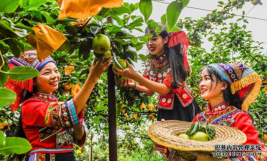 电商行业规范不断出台 推动电商直播健康发展