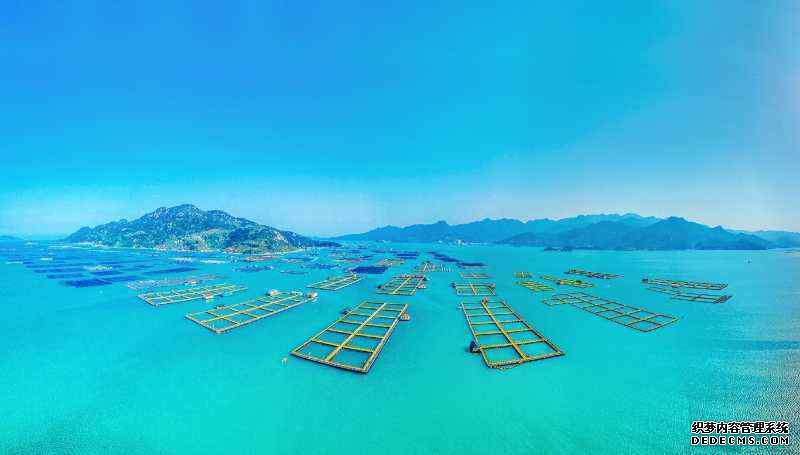 �������£�������� ����ʫ