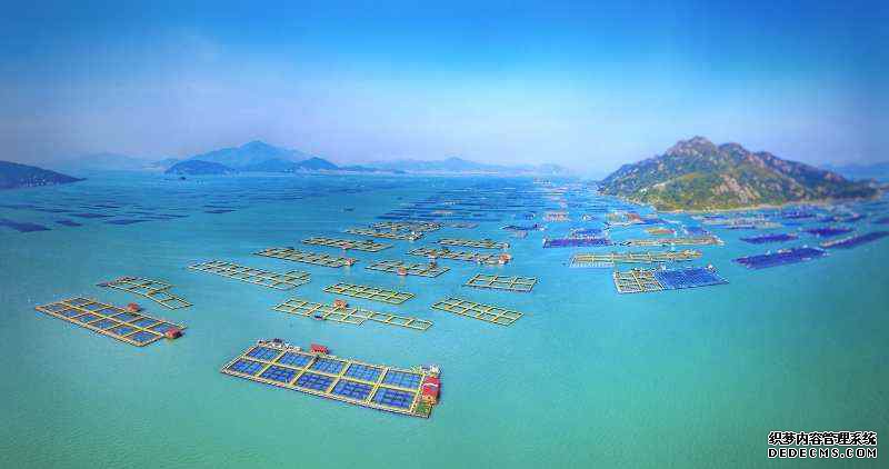 �������£�������� ����ʫ