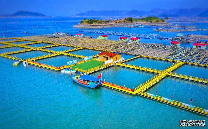 �������£�������� ����ʫ