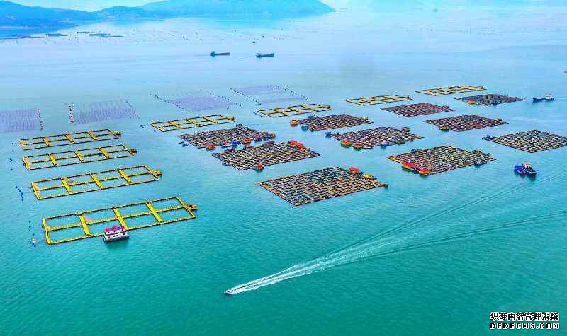 �������£�������� ����ʫ