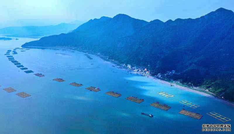 �������£�������� ����ʫ