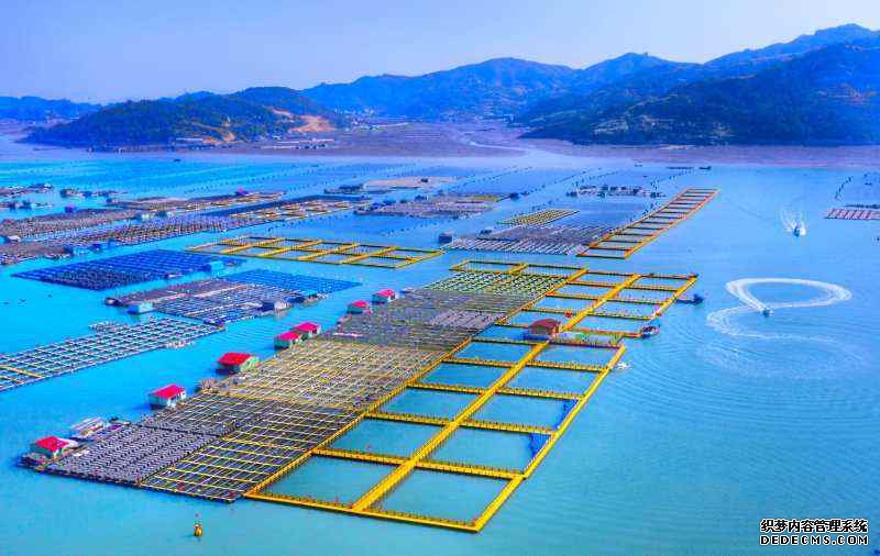 �������£�������� ����ʫ